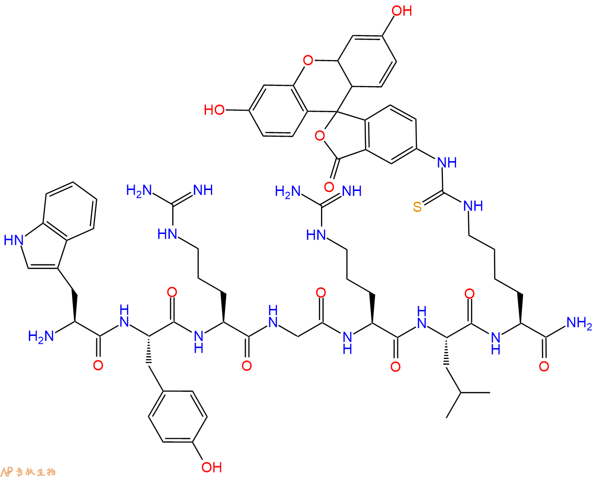 专肽生物产品H2N-Trp-Tyr-Arg-Gly-Arg-Leu-Lys(FITC)-CONH2