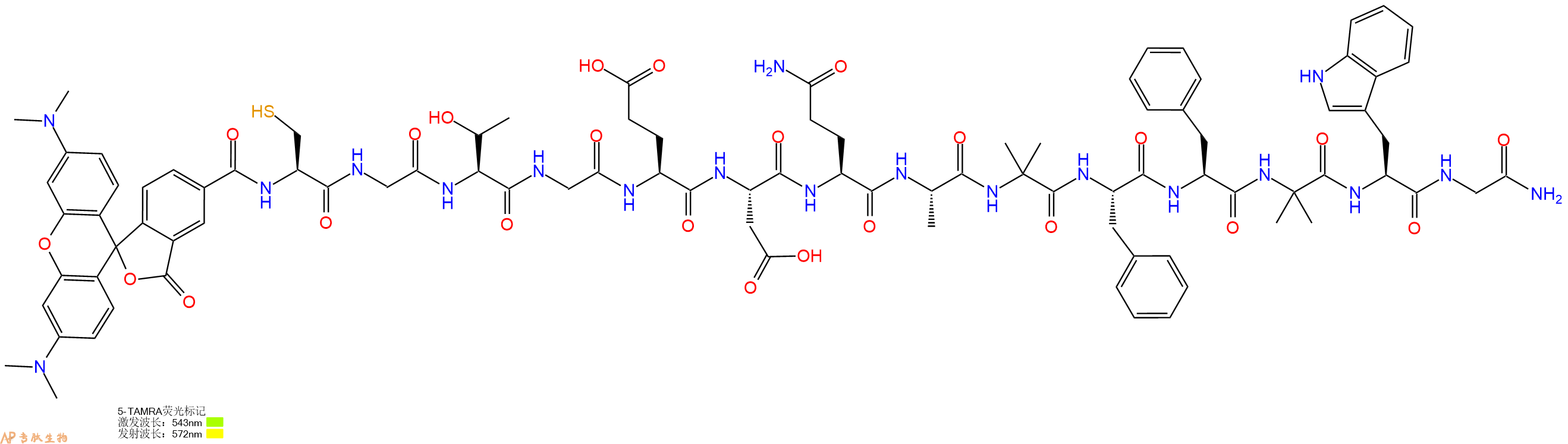 专肽生物产品5TAMRA-Cys-Gly-Thr-Gly-Glu-Asp-Gln-Ala-Aib-Phe-Phe-Aib-Trp-Gly-CONH2