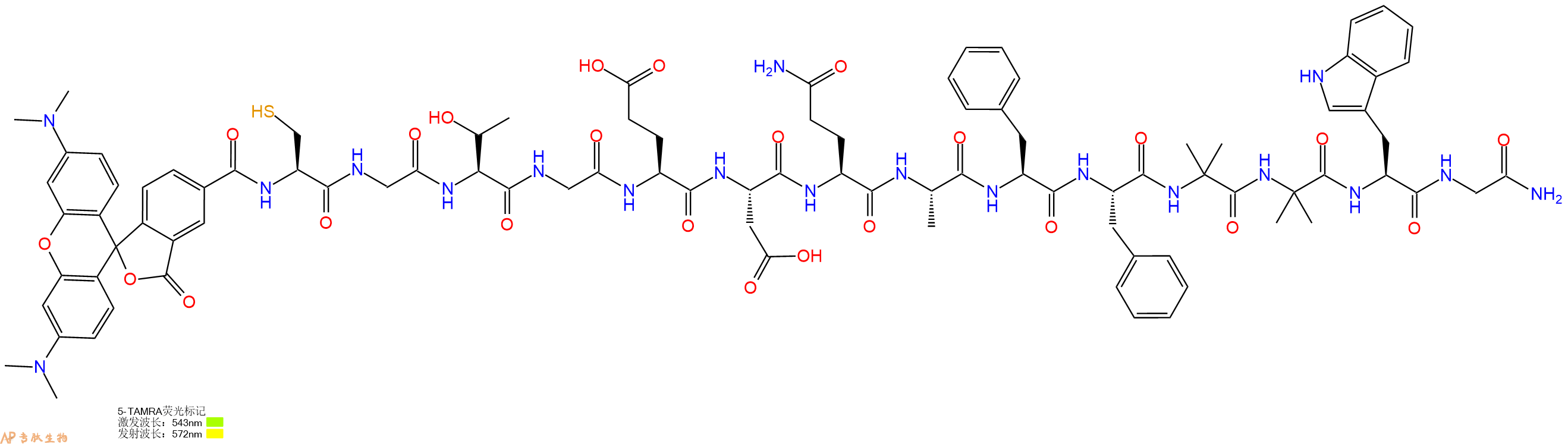 专肽生物产品5TAMRA-Cys-Gly-Thr-Gly-Glu-Asp-Gln-Ala-Phe-Phe-Aib-Aib-Trp-Gly-CONH2