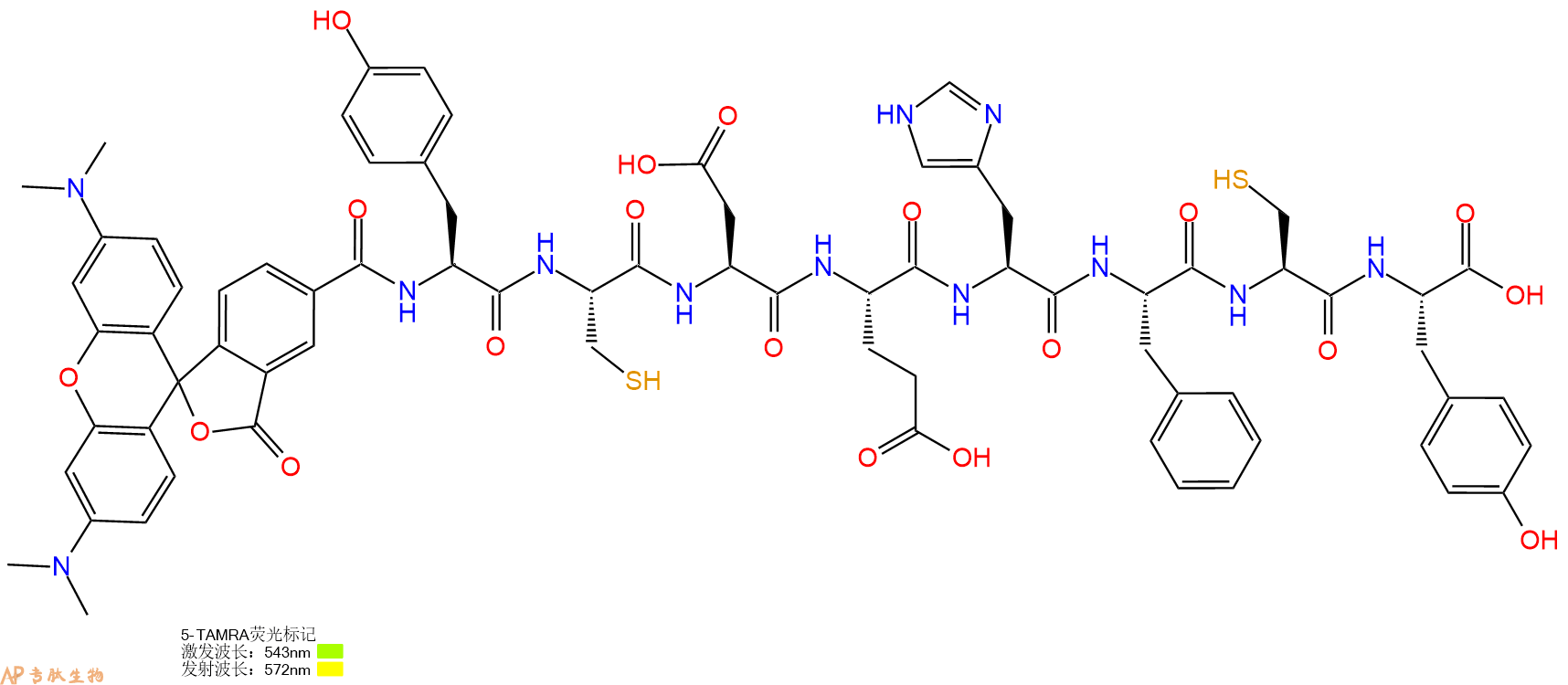 专肽生物产品5TAMRA-Tyr-Cys-Asp-Glu-His-Phe-Cys-Tyr-OH