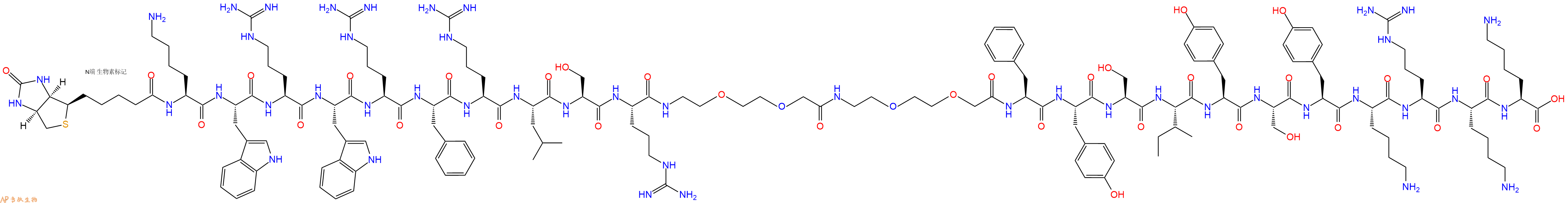 专肽生物产品Biotinyl-Lys-Trp-Arg-Trp-Arg-Phe-Arg-Leu-Ser-Arg-PEG2-PEG2-Phe-Tyr-Ser-Ile-Tyr-Ser-Tyr-Lys-Arg-Lys-Lys