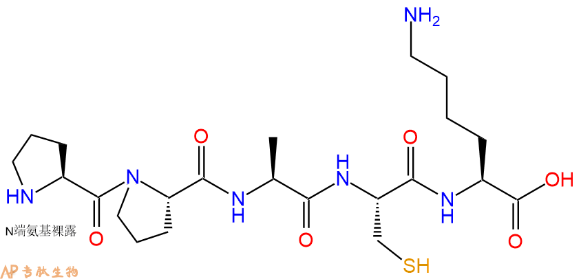专肽生物产品H2N-Pro-Pro-Ala-Cys-Lys-OH