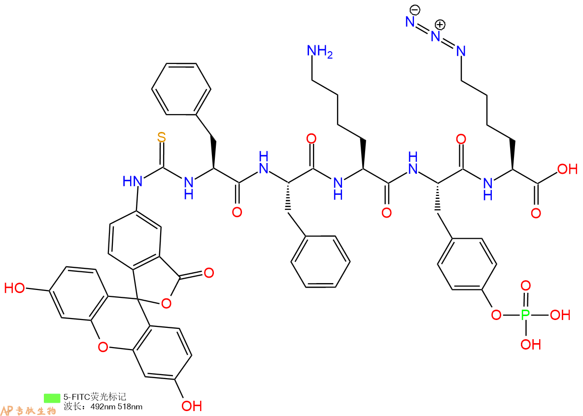 专肽生物产品5FITC-Phe-Phe-Lys-Tyr(PO3H2)-Lys(N3)-OH