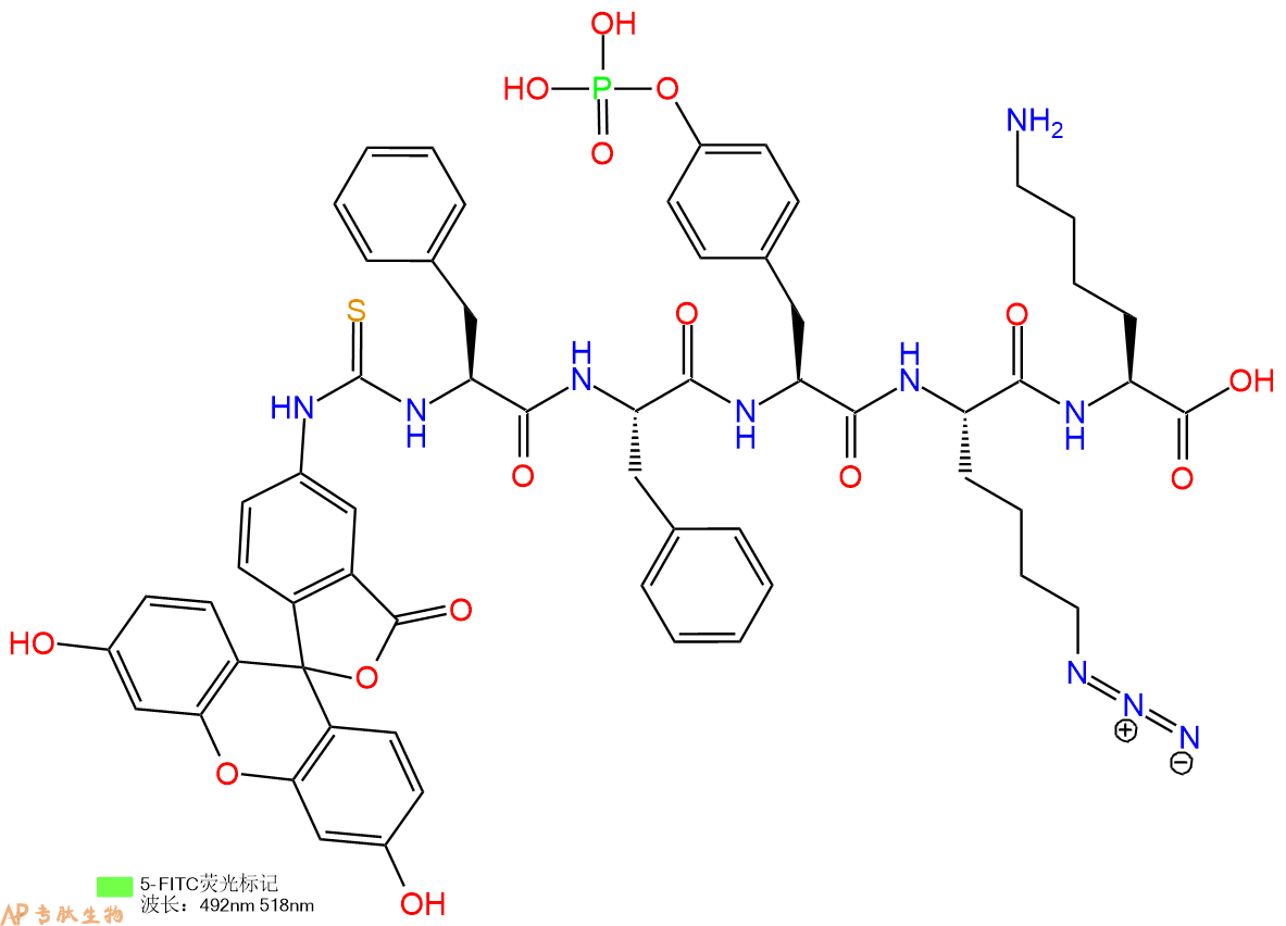 专肽生物产品5FITC-Phe-Phe-Tyr(PO3H2)-Lys(N3)-Lys-OH