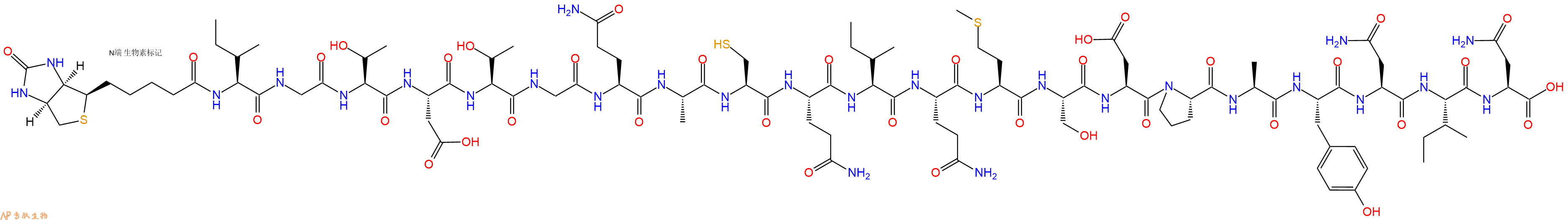专肽生物产品Biotinyl-Ile-Gly-Thr-Asp-Thr-Gly-Gln-Ala-Cys-Gln-Ile-Gln-Met-Ser-Asp-Pro-Ala-Tyr-Asn-Ile-Asn-OH