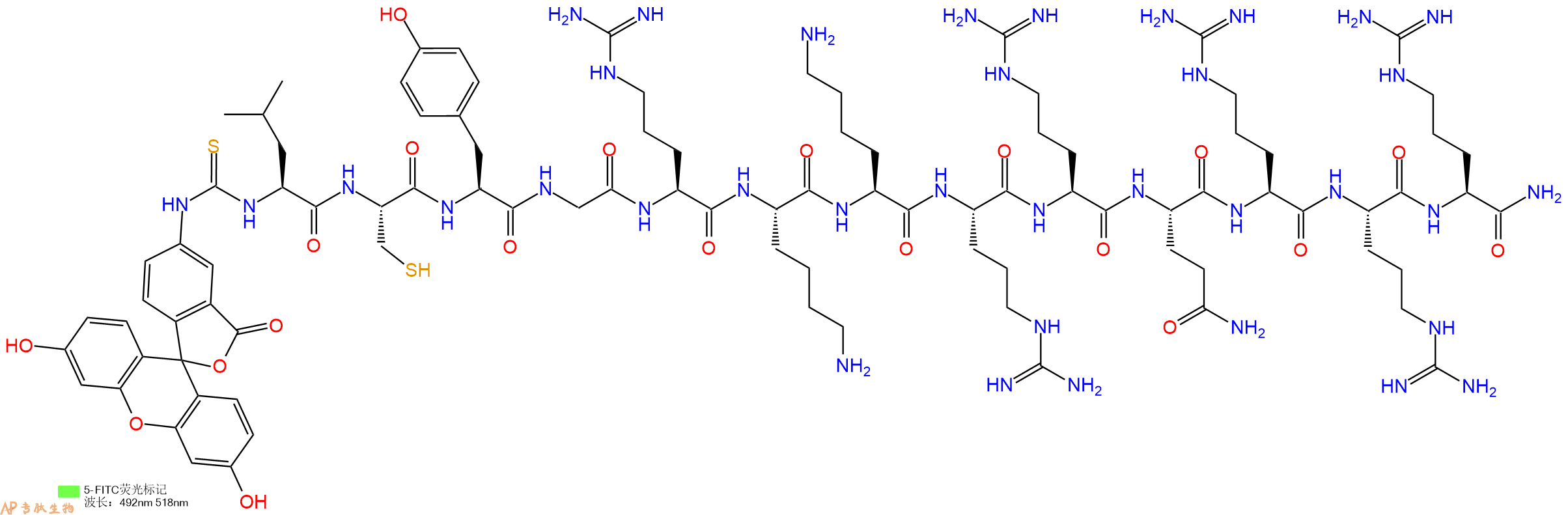 专肽生物产品5FITC-Leu-Cys-Tyr-Gly-Arg-Lys-Lys-Arg-Arg-Gln-Arg-Arg-Arg-CONH2