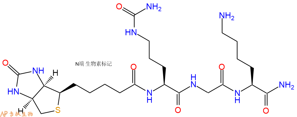 专肽生物产品Biotinyl-Cit-Gly-Lys-CONH2