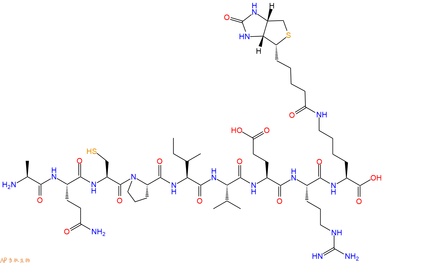 专肽生物产品H2N-Ala-Gln-Cys-Pro-Ile-Val-Glu-Arg-Lys(Biotin)-OH
