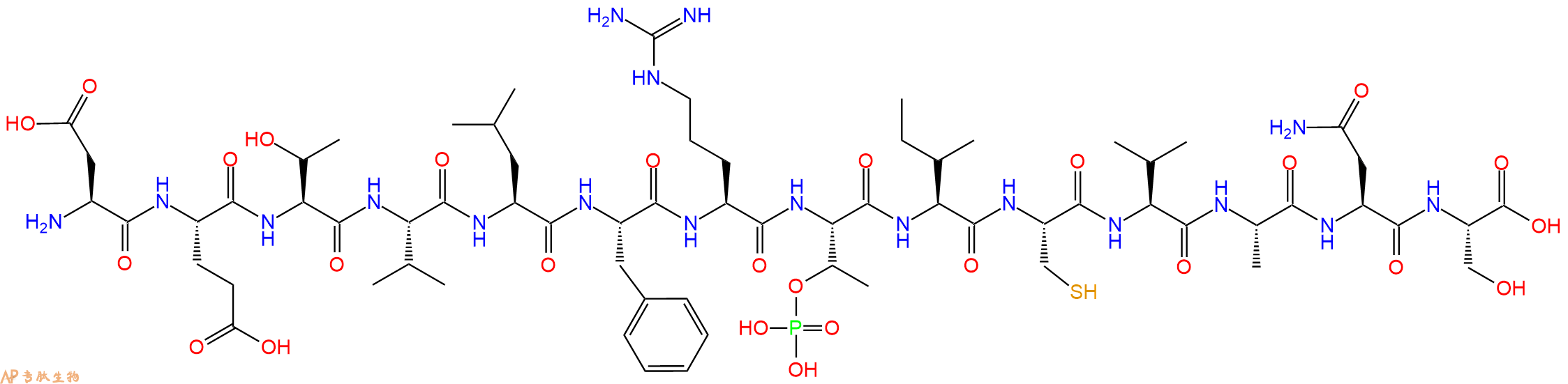 专肽生物产品H2N-Asp-Glu-Thr-Val-Leu-Phe-Arg-pThr-Ile-Cys-Val-Ala-Asn-Ser-OH