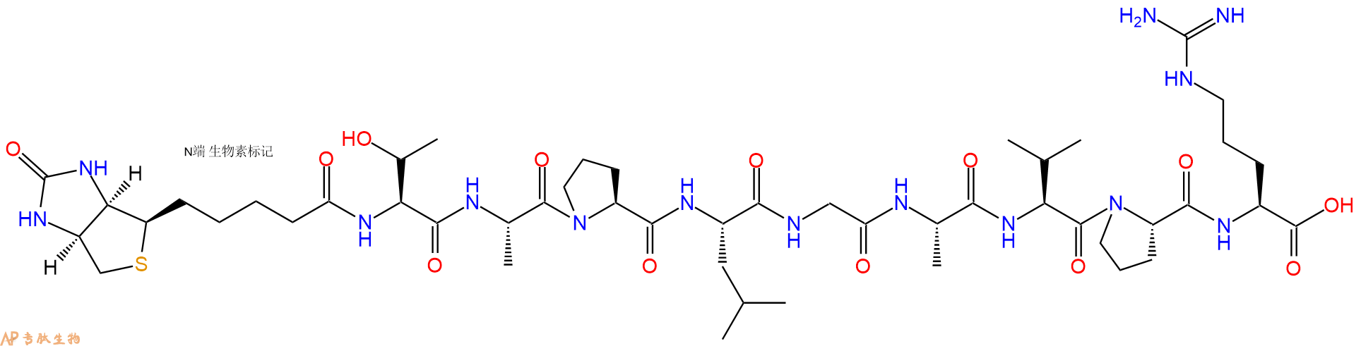 专肽生物产品Biotinyl-Thr-Ala-Pro-Leu-Gly-Ala-Val-Pro-Arg-OH