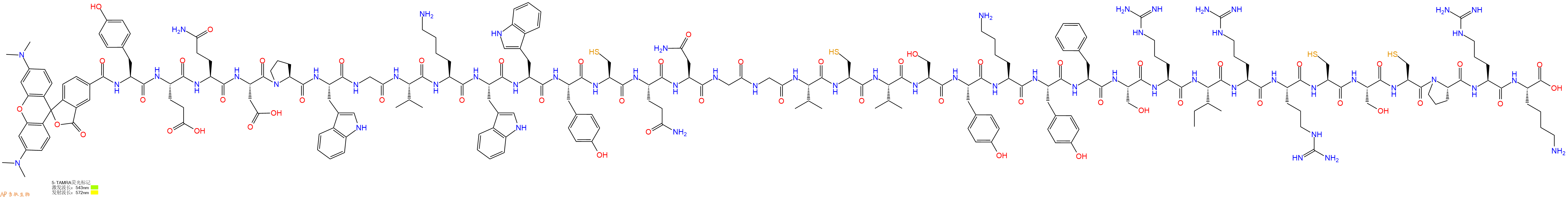 专肽生物产品5TAMRA-Tyr-Glu-Gln-Asp-Pro-Trp-Gly-Val-Lys-Trp-Trp-Tyr-Cys-Gln-Asn-Gly-Gly-Val-Cys-Val-Ser-Tyr-Lys-Tyr-Phe-Ser-Arg-Ile-Arg-Arg-Cys-Ser-Cys-Pro-Arg-Lys-OH
