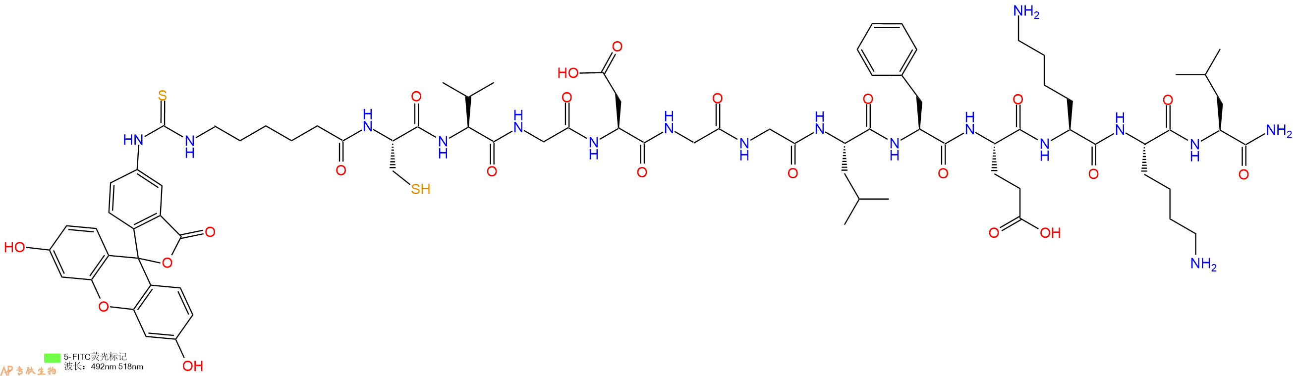 专肽生物产品5FITC-Ahx-Cys-Val-Gly-Asp-Gly-Gly-Leu-Phe-Glu-Lys-Lys-Leu-CONH2