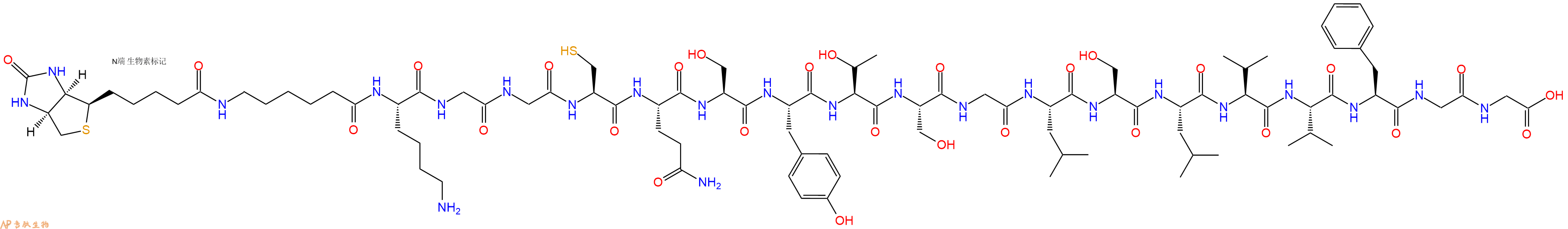 专肽生物产品Biotinyl-Ahx-Lys-Gly-Gly-Cys-Gln-Ser-Tyr-Thr-Ser-Gly-Leu-Ser-Leu-Val-Val-Phe-Gly-Gly-OH