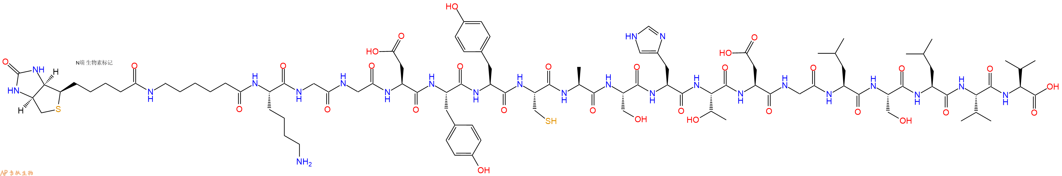 专肽生物产品Biotinyl-Ahx-Lys-Gly-Gly-Asp-Tyr-Tyr-Cys-Ala-Ser-His-Thr-Asp-Gly-Leu-Ser-Leu-Val-Val-OH