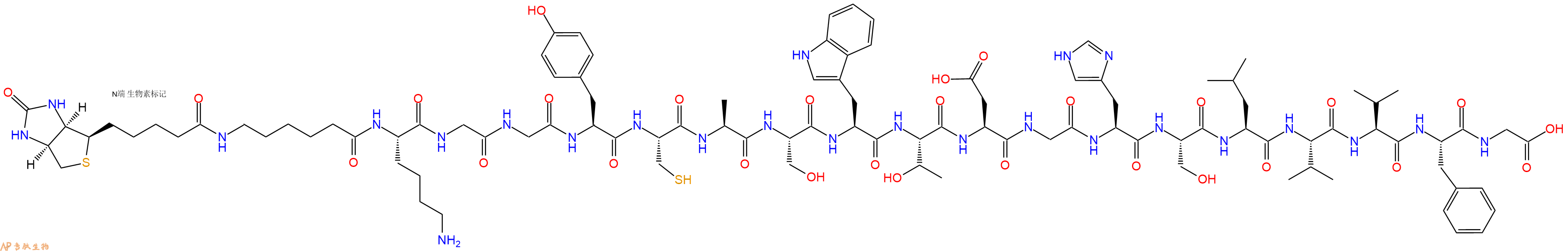专肽生物产品Biotinyl-Ahx-Lys-Gly-Gly-Tyr-Cys-Ala-Ser-Trp-Thr-Asp-Gly-His-Ser-Leu-Val-Val-Phe-Gly-OH