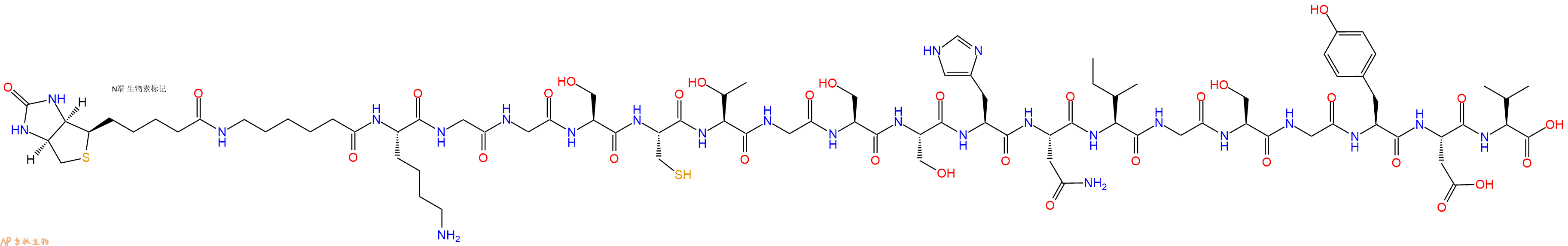 专肽生物产品Biotinyl-Ahx-Lys-Gly-Gly-Ser-Cys-Thr-Gly-Ser-Ser-His-Asn-Ile-Gly-Ser-Gly-Tyr-Asp-Val-OH