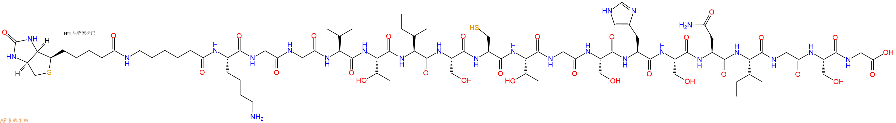 专肽生物产品Biotinyl-Ahx-Lys-Gly-Gly-Val-Thr-Ile-Ser-Cys-Thr-Gly-Ser-His-Ser-Asn-Ile-Gly-Ser-Gly-OH