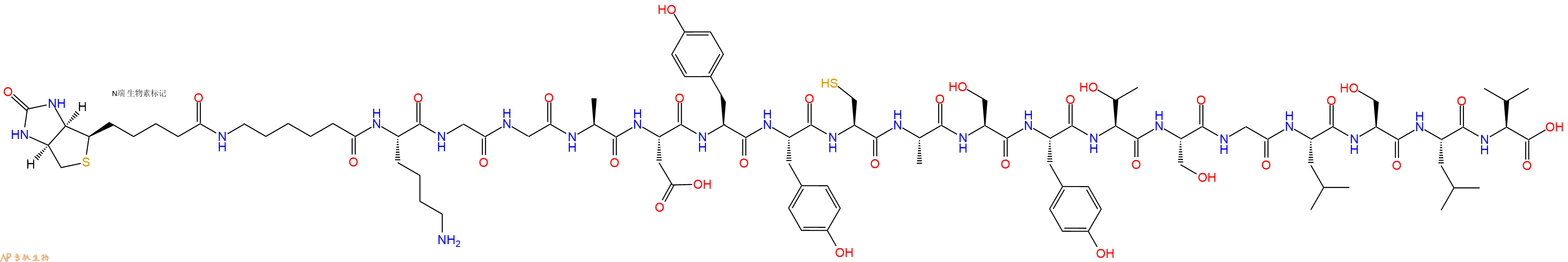专肽生物产品Biotinyl-Ahx-Lys-Gly-Gly-Ala-Asp-Tyr-Tyr-Cys-Ala-Ser-Tyr-Thr-Ser-Gly-Leu-Ser-Leu-Val-OH