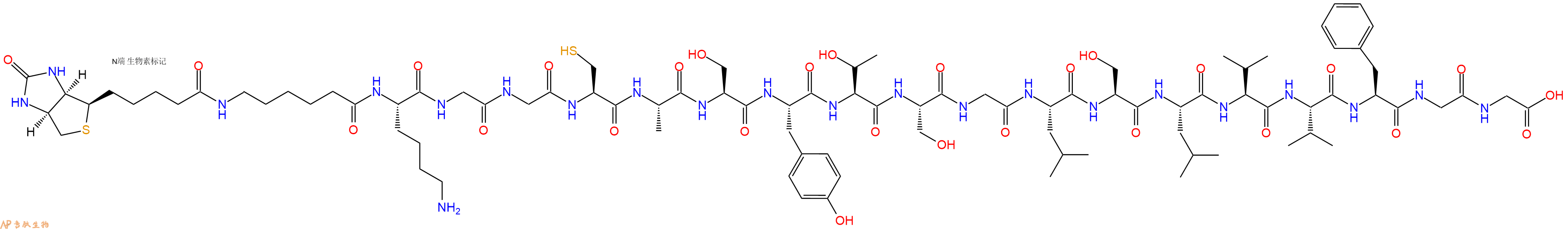 专肽生物产品Biotinyl-Ahx-Lys-Gly-Gly-Cys-Ala-Ser-Tyr-Thr-Ser-Gly-Leu-Ser-Leu-Val-Val-Phe-Gly-Gly-OH