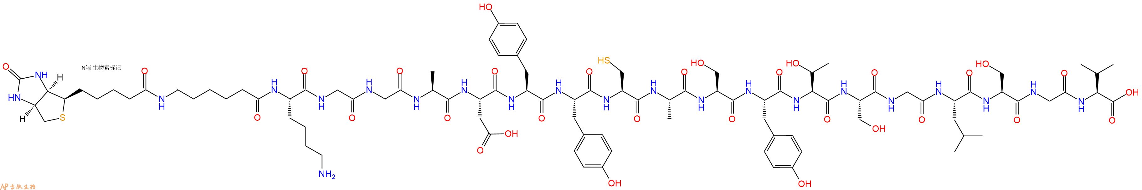 专肽生物产品Biotinyl-Ahx-Lys-Gly-Gly-Ala-Asp-Tyr-Tyr-Cys-Ala-Ser-Tyr-Thr-Ser-Gly-Leu-Ser-Gly-Val-OH