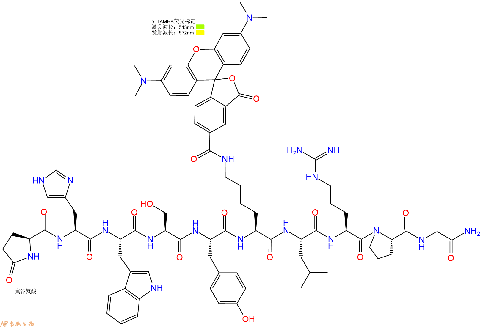 专肽生物产品Pyr-His-Trp-Ser-Tyr-Lys(TAMRA)-Leu-Arg-Pro-Gly-CONH2