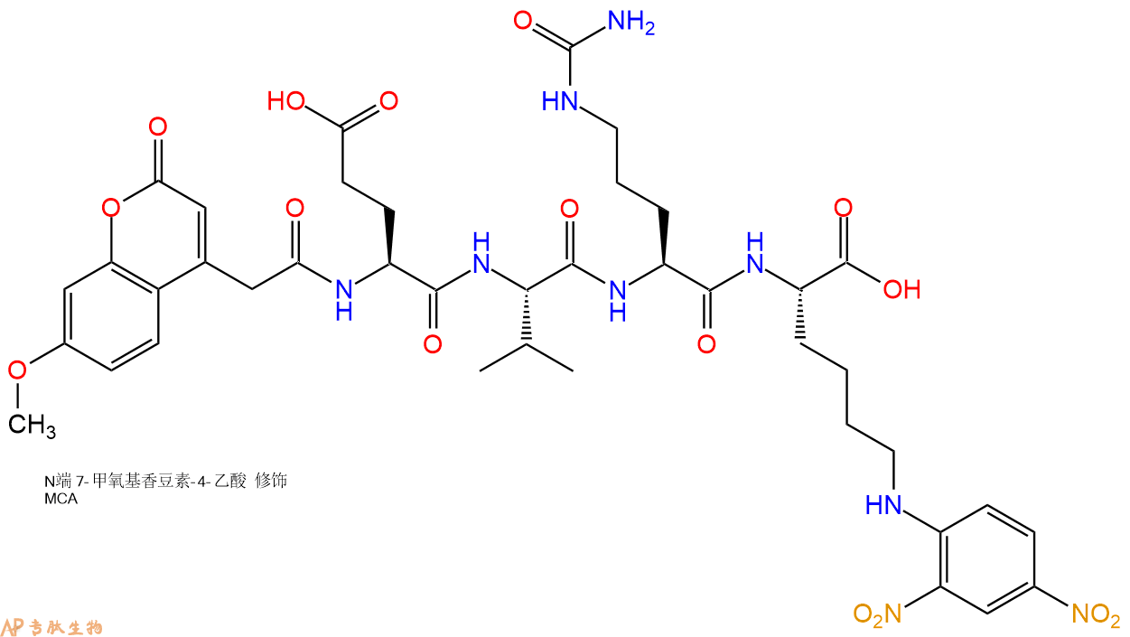 专肽生物产品MCA-Glu-Val-Cit-Lys(Dnp)-OH