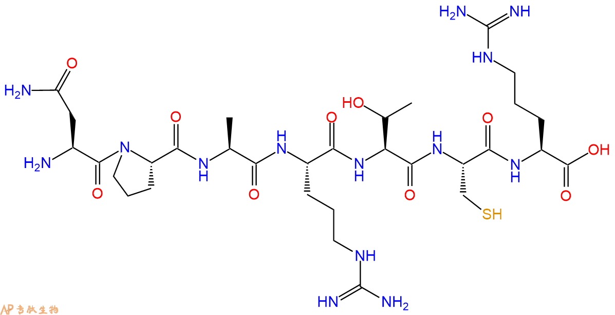 专肽生物产品H2N-Asn-Pro-Ala-Arg-Thr-Cys-Arg-OH