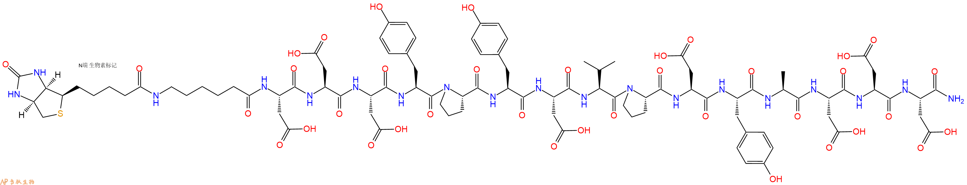 专肽生物产品Biotinyl-Ahx-Asp-Asp-Asp-Tyr-Pro-Tyr-Asp-Val-Pro-Asp-Tyr-Ala-Asp-Asp-Asp-CONH2