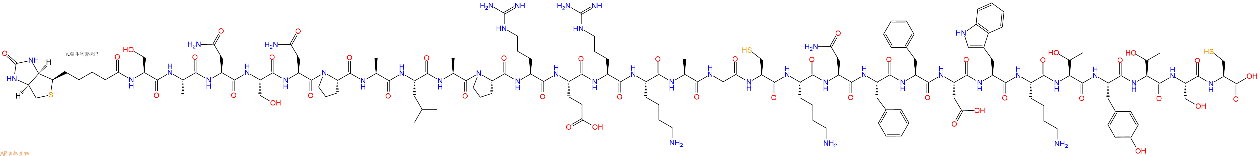 专肽生物产品Biotinyl-Ser-Ala-Asn-Ser-Asn-Pro-Ala-Leu-Ala-Pro-Arg-Glu-Arg-Lys-Ala-Gly-Cys-Lys-Asn-Phe-Phe-Asp-Trp-Lys-Thr-Tyr-Thr-Ser-Cys-OH