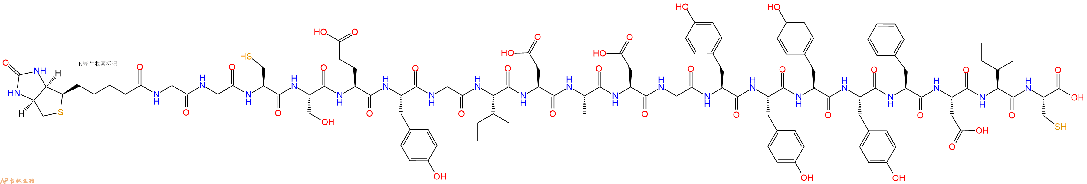 专肽生物产品Biotinyl-Gly-Gly-Cys-Ser-Glu-Tyr-Gly-Ile-Asp-Ala-Asp-Gly-Tyr-Tyr-Tyr-Tyr-Phe-Asp-Ile-Cys-OH