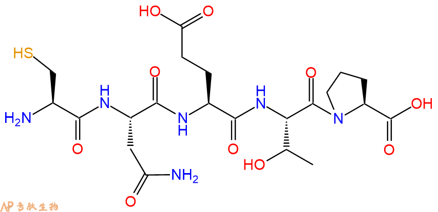 专肽生物产品H2N-Cys-Asn-Glu-Thr-Pro-OH