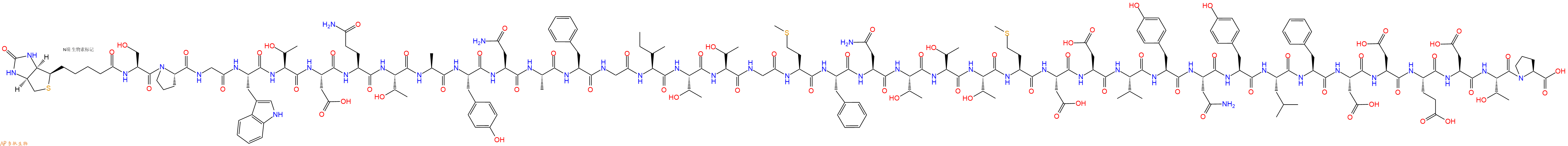 专肽生物产品Biotinyl-Ser-Pro-Gly-Trp-Thr-Asp-Gln-Thr-Ala-Tyr-Asn-Ala-Phe-Gly-Ile-Thr-Thr-Gly-Met-Phe-Asn-Thr-Thr-Thr-Met-Asp-Asp-Val-Tyr-Asn-Tyr-Leu-Phe-Asp-Asp-Glu-Asp-Thr-Pro-OH