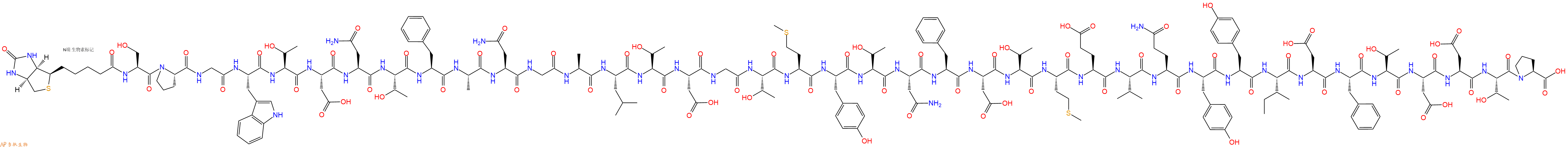 专肽生物产品Biotinyl-Ser-Pro-Gly-Trp-Thr-Asp-Asn-Thr-Phe-Ala-Asn-Gly-Ala-Leu-Thr-Asp-Gly-Thr-Met-Tyr-Thr-Asn-Phe-Asp-Thr-Met-Glu-Val-Gln-Tyr-Tyr-Ile-Asp-Phe-Thr-Asp-Asp-Thr-Pro-OH
