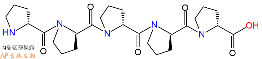专肽生物产品H2N-DPro-DPro-DPro-DPro-DPro-OH