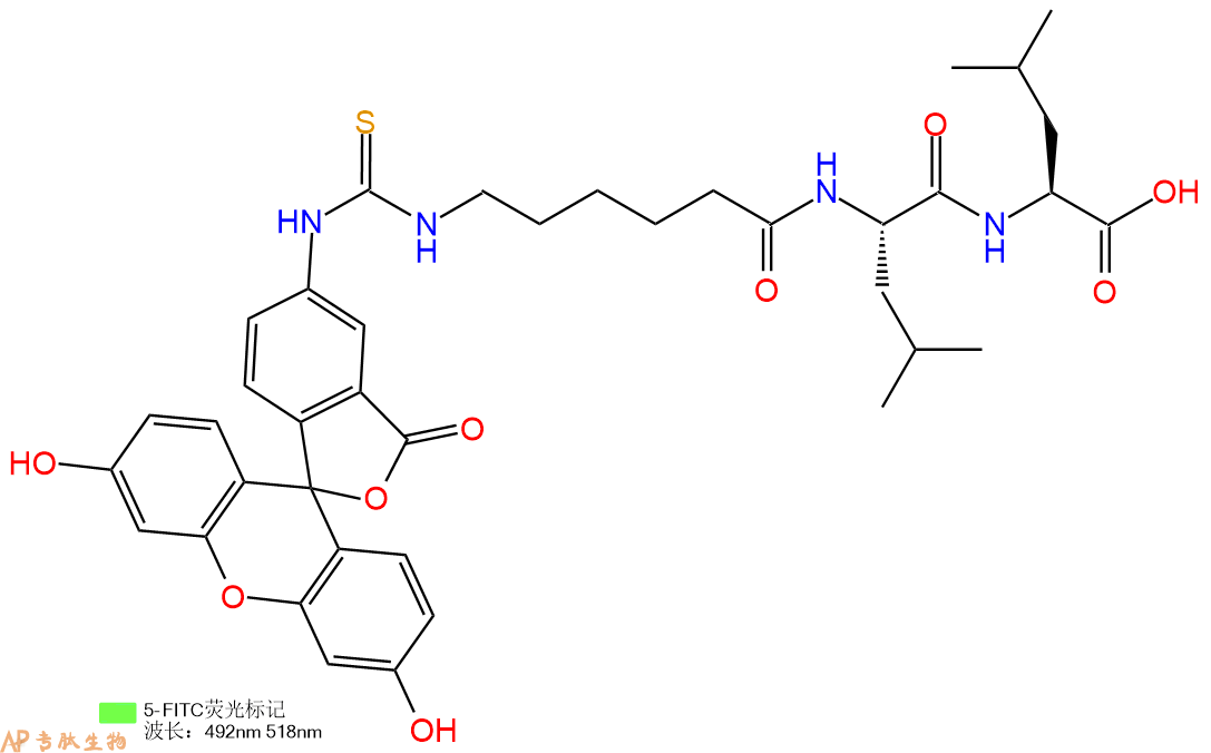 专肽生物产品5FITC-Ahx-Leu-Leu-OH
