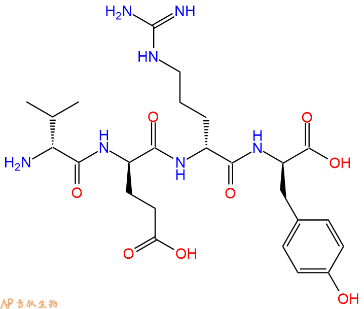 专肽生物产品H2N-DVal-DGlu-DArg-DTyr-OH