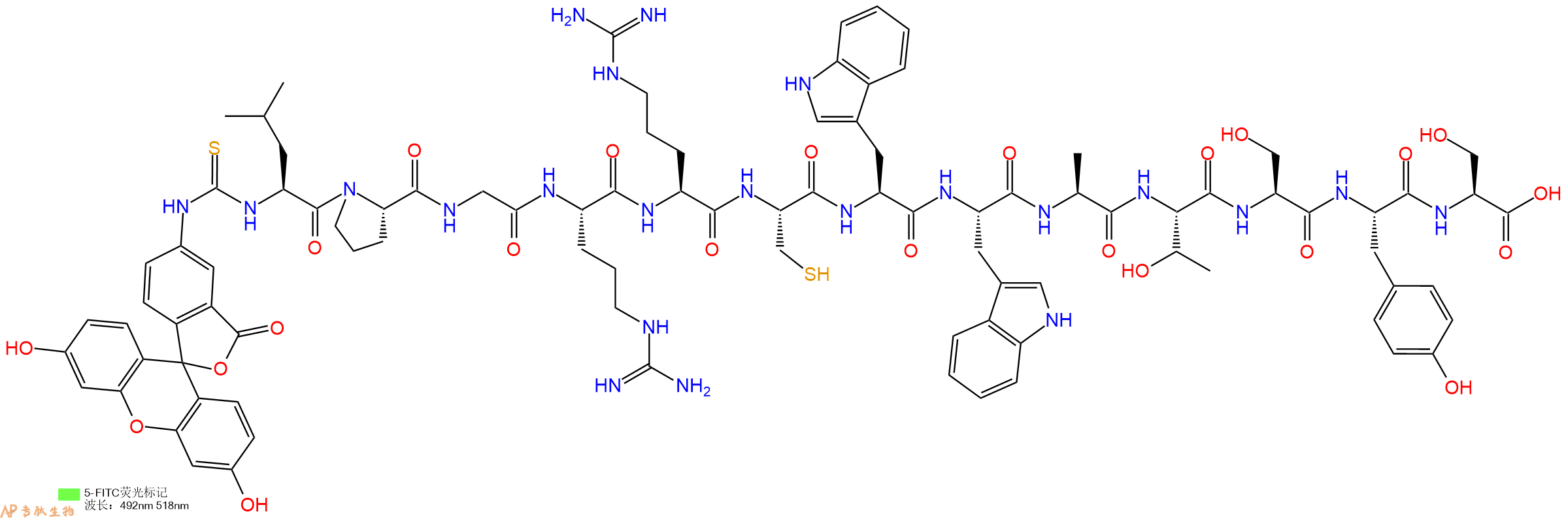 专肽生物产品5FITC-Leu-Pro-Gly-Arg-Arg-Cys-Trp-Trp-Ala-Thr-Ser-Tyr-Ser-OH