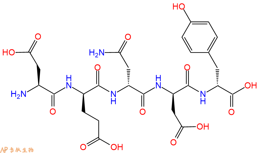 专肽生物产品H2N-Asp-DGlu-DAsn-DAsp-DTyr-OH