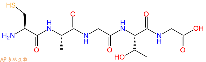 专肽生物产品H2N-Cys-Ala-Gly-Thr-Gly-OH