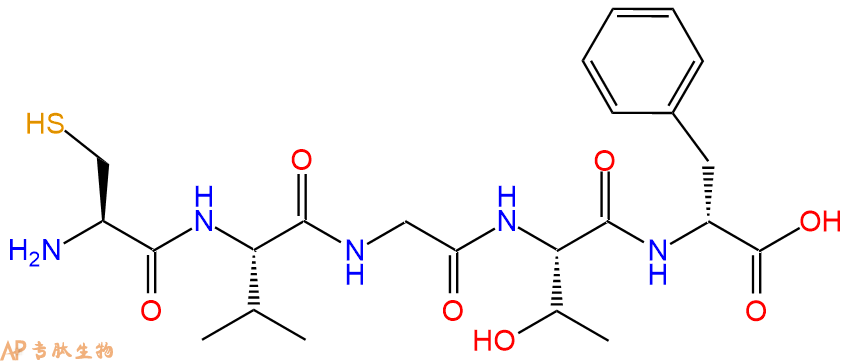 专肽生物产品H2N-Cys-Val-Gly-Thr-DPhe-OH