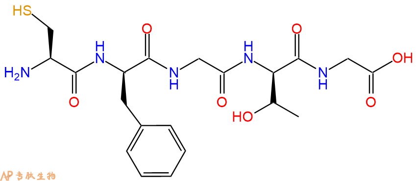 专肽生物产品H2N-Cys-DPhe-Gly-DThr-Gly-OH