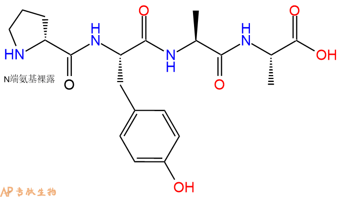 专肽生物产品H2N-DPro-Tyr-Ala-Ala-OH