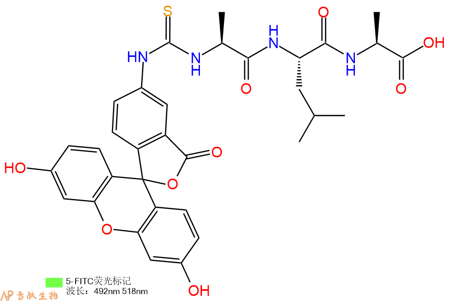 专肽生物产品5FITC-Ala-Leu-Ala-OH