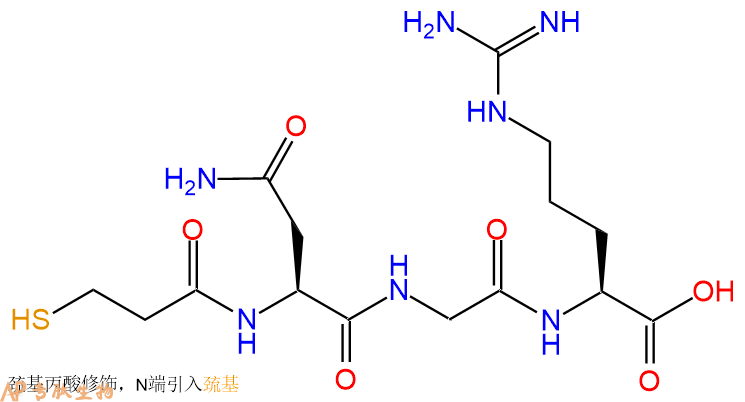 专肽生物产品Mpa-Asn-Gly-Arg-OH