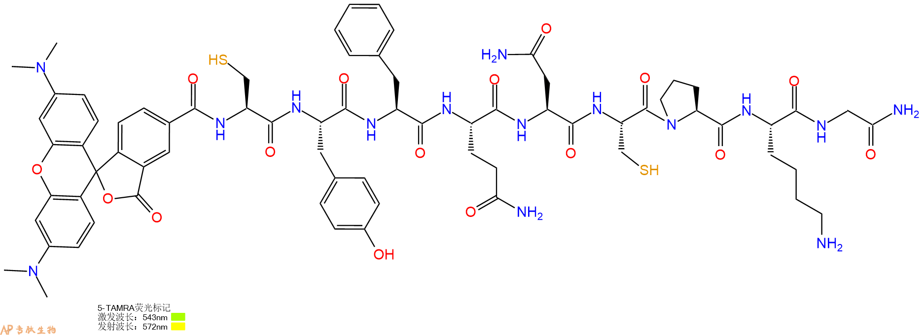 专肽生物产品5TAMRA-Cys-Tyr-Phe-Gln-Asn-Cys-Pro-Lys-Gly-CONH2