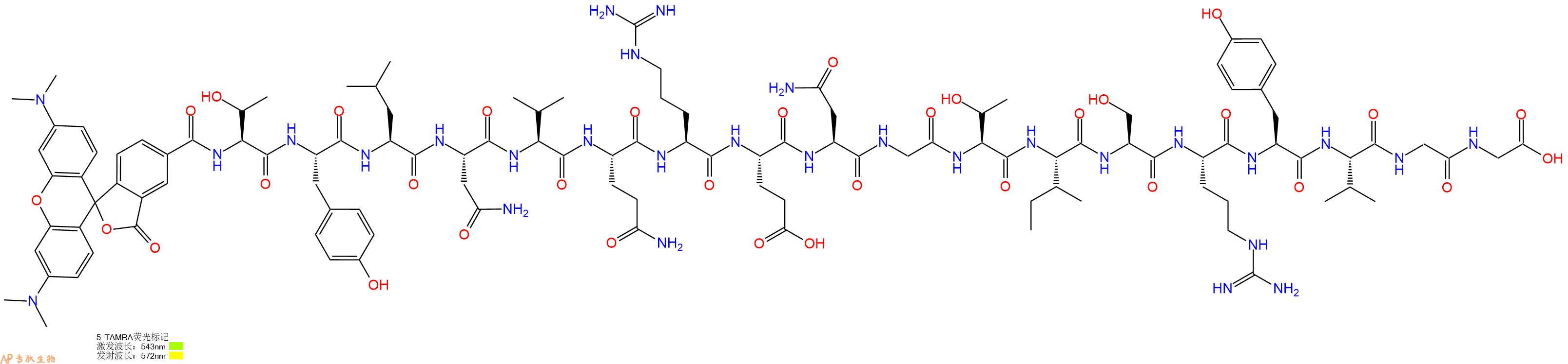 专肽生物产品5TAMRA-Thr-Tyr-Leu-Asn-Val-Gln-Arg-Glu-Asn-Gly-Thr-Ile-Ser-Arg-Tyr-Val-Gly-Gly-OH