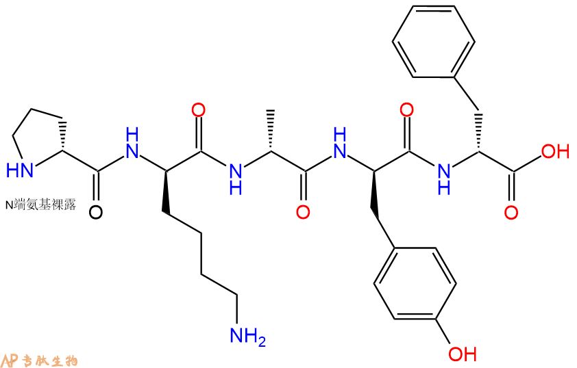 专肽生物产品H2N-DPro-DLys-DAla-DTyr-DPhe-OH