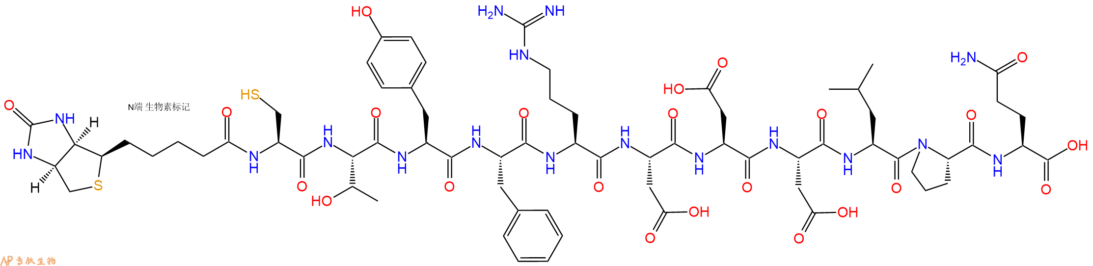 专肽生物产品Biotinyl-Cys-Thr-Tyr-Phe-Arg-Asp-Asp-Asp-Leu-Pro-Gln-OH