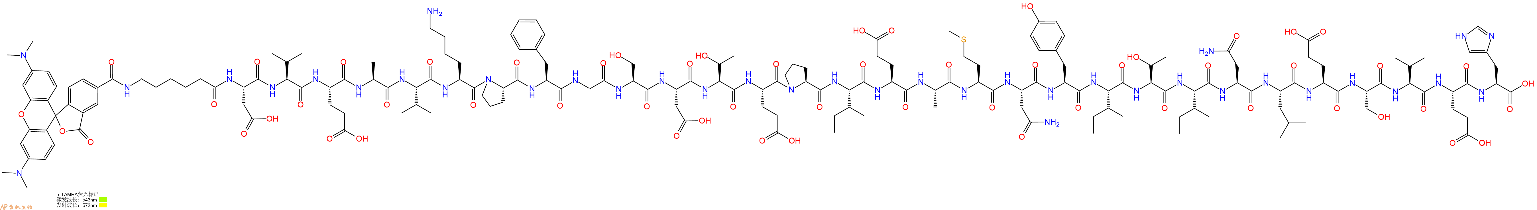 专肽生物产品5TAMRA-Ahx-Asp-Val-Glu-Ala-Val-Lys-Pro-Phe-Gly-Ser-Asp-Thr-Glu-Pro-Ile-Glu-Ala-Met-Asn-Tyr-Ile-Thr-Ile-Asn-Leu-Glu-Ser-Val-Glu-His-OH