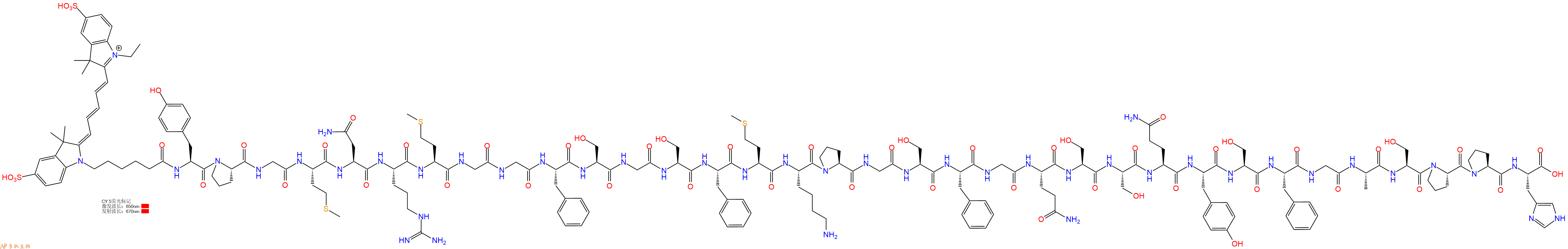专肽生物产品CY5-Tyr-Pro-Gly-Met-Asn-Arg-Met-Gly-Gly-Phe-Ser-Gly-Ser-Phe-Met-Lys-Pro-Gly-Ser-Phe-Gly-Gln-Ser-Ser-Gln-Tyr-Ser-Phe-Gly-Ala-Ser-Pro-Pro-His-OH